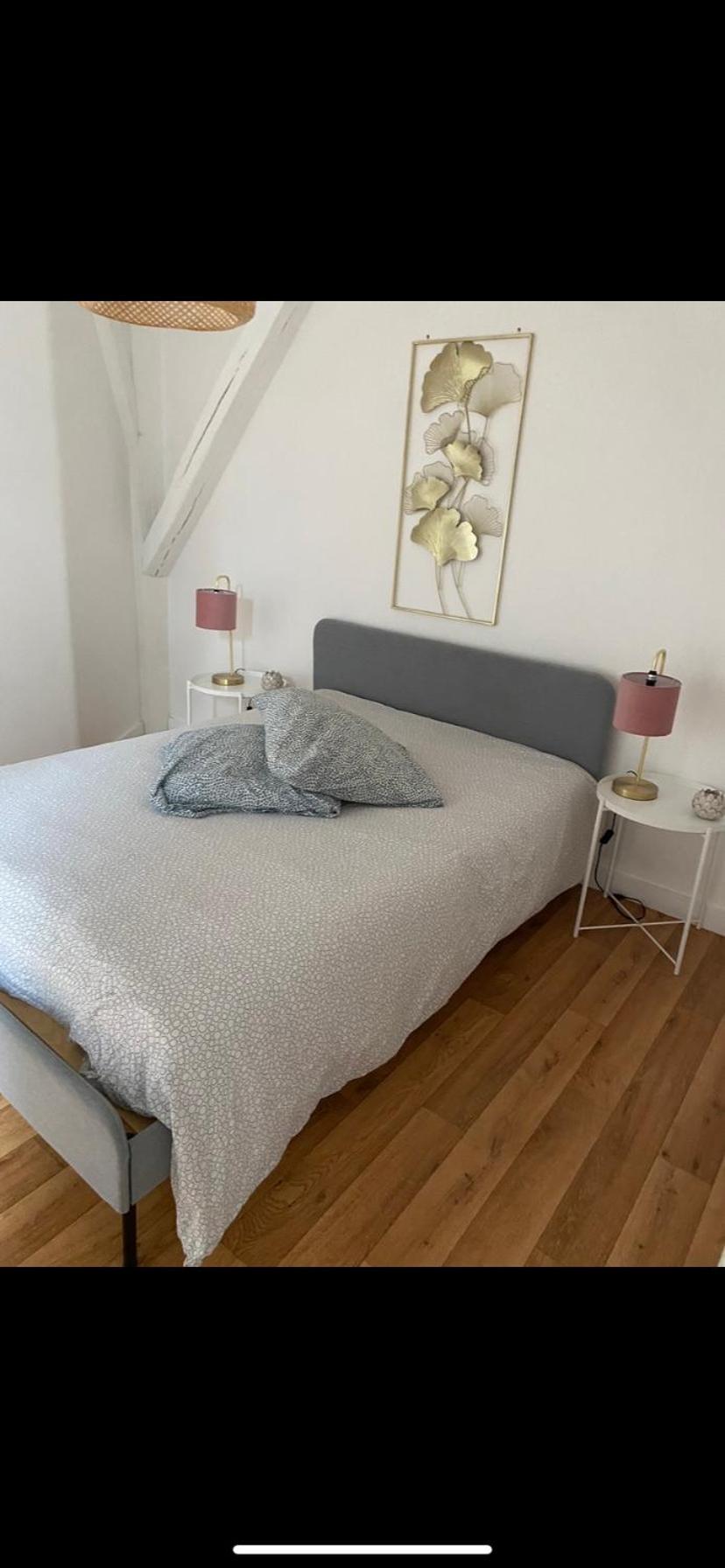 Magnifique Appartement Beaux Arts Тур Екстериор снимка